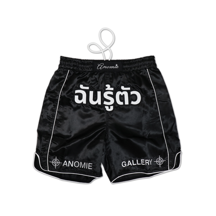 Satin Muay Thai Shorts